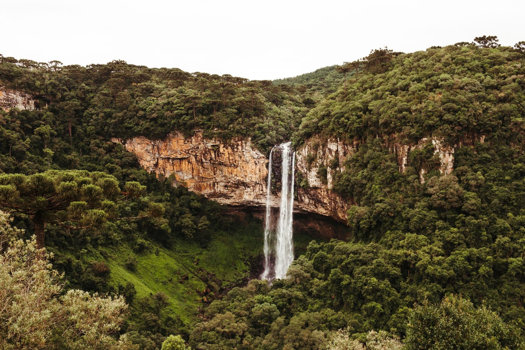 Cascata do Caracol despencando no vale de mata fechada com araucárias, na Serra Gaúcha