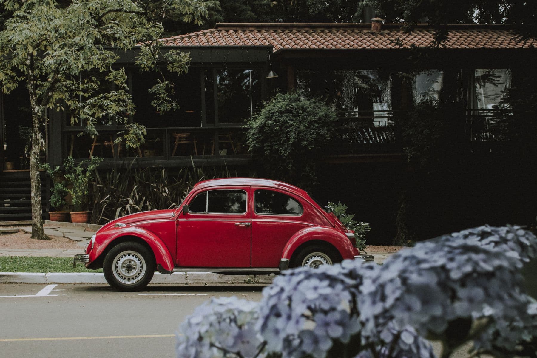 Fusca vermelho estacionado em rua de Gramado, com hortênsias em primeiro plano