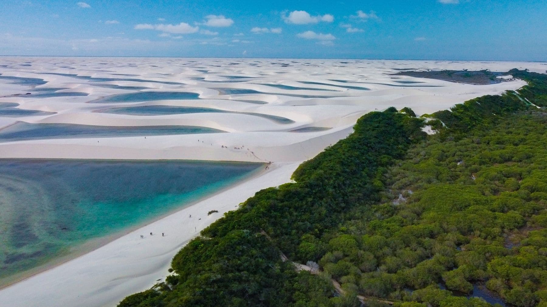 Vista aérea do campo de dunas dos Lençóis Maranhenses com dezenas de lagoas e vegetação ao lado