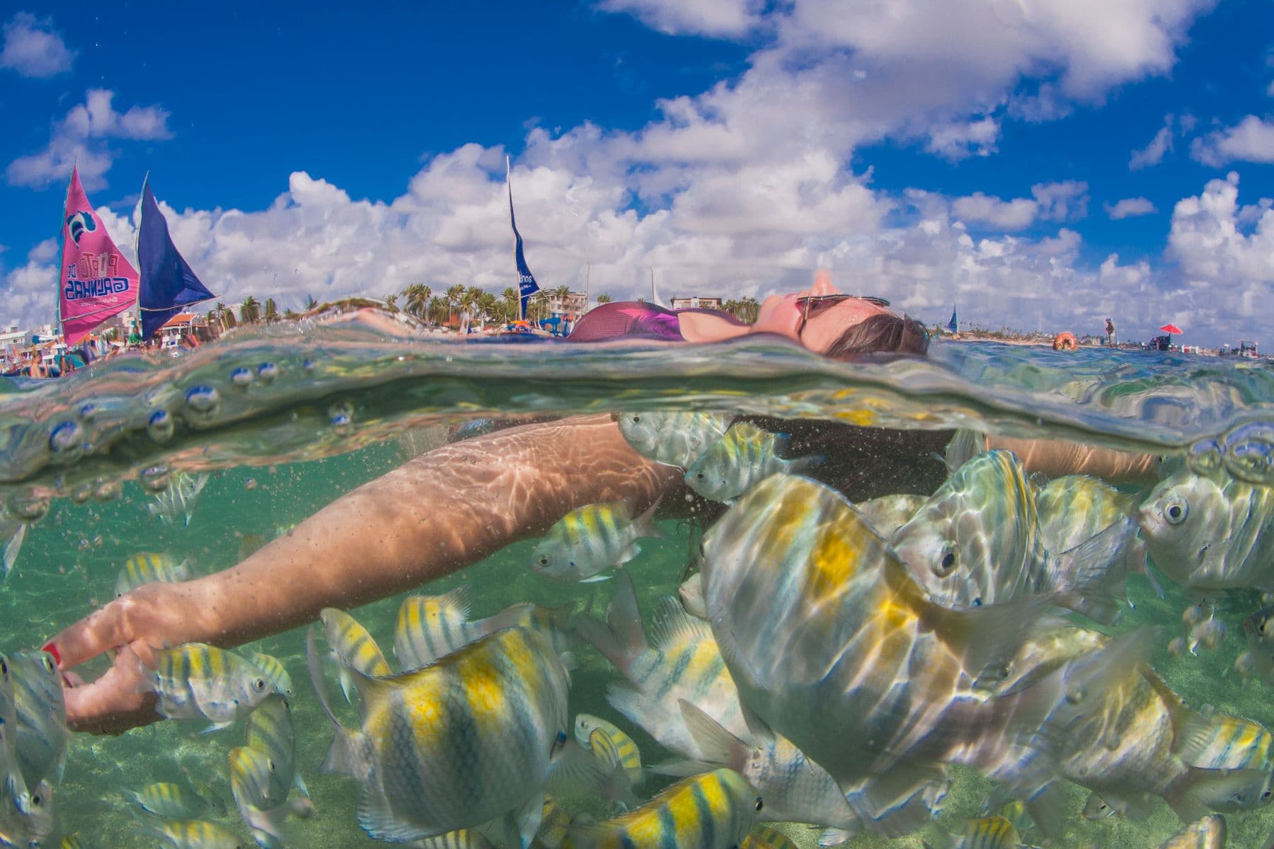 Cardume de peixes coloridos ao redor de uma banhista nas piscinas naturais de Porto de Galinhas