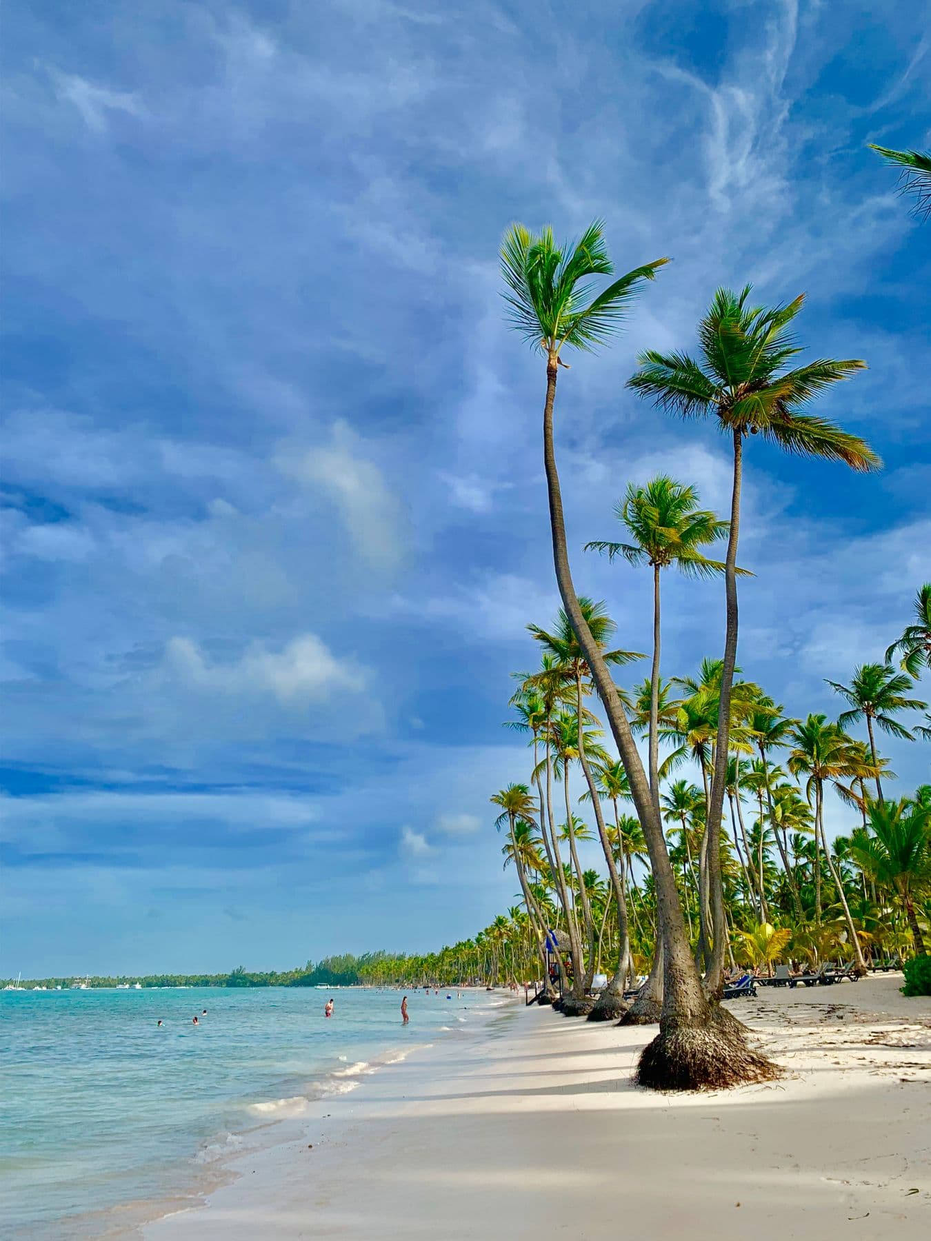 Coqueiros diante do mar azul em Punta Cana