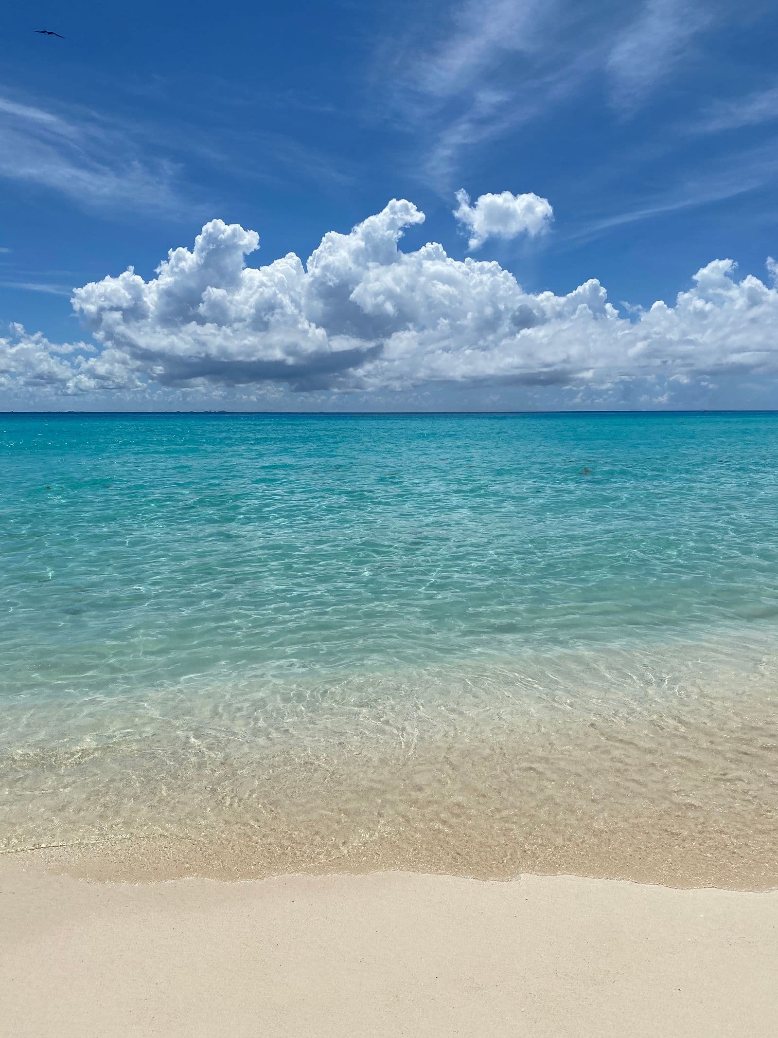 Mar de águas transparentes e areia clara no Caribe
